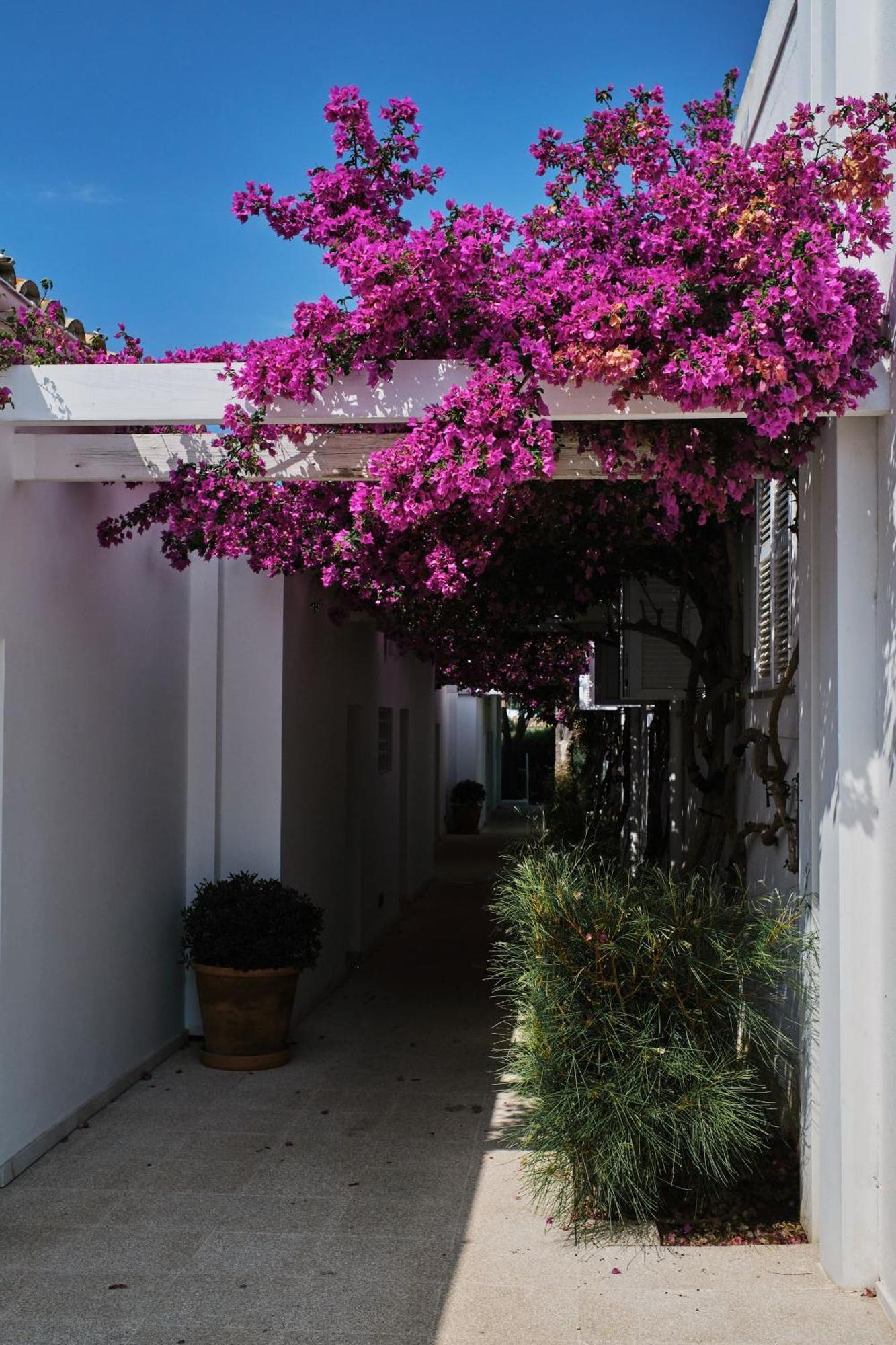 Prinsotel Mal Pas - Adults Only Αλκούδια Εξωτερικό φωτογραφία